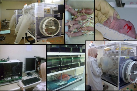Animal Behaviour2