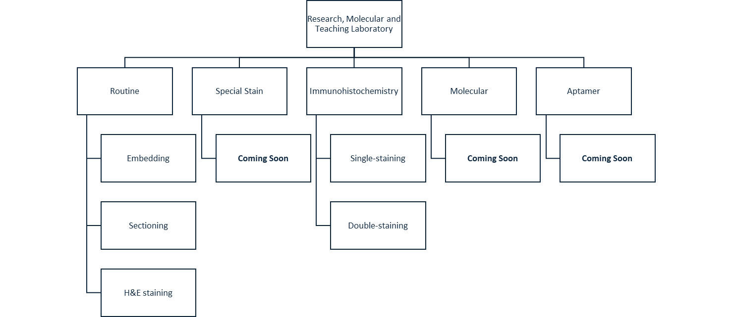 Services_Offered_by_Research_Pato.png