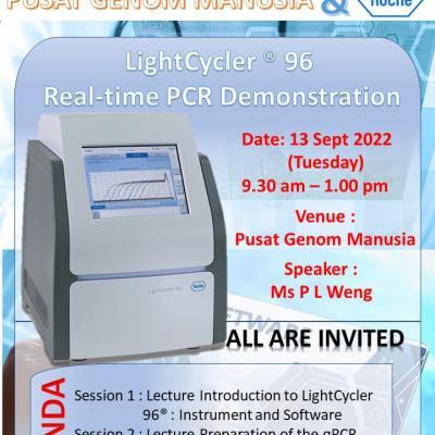 Real Time Pcr Demostration Thumb